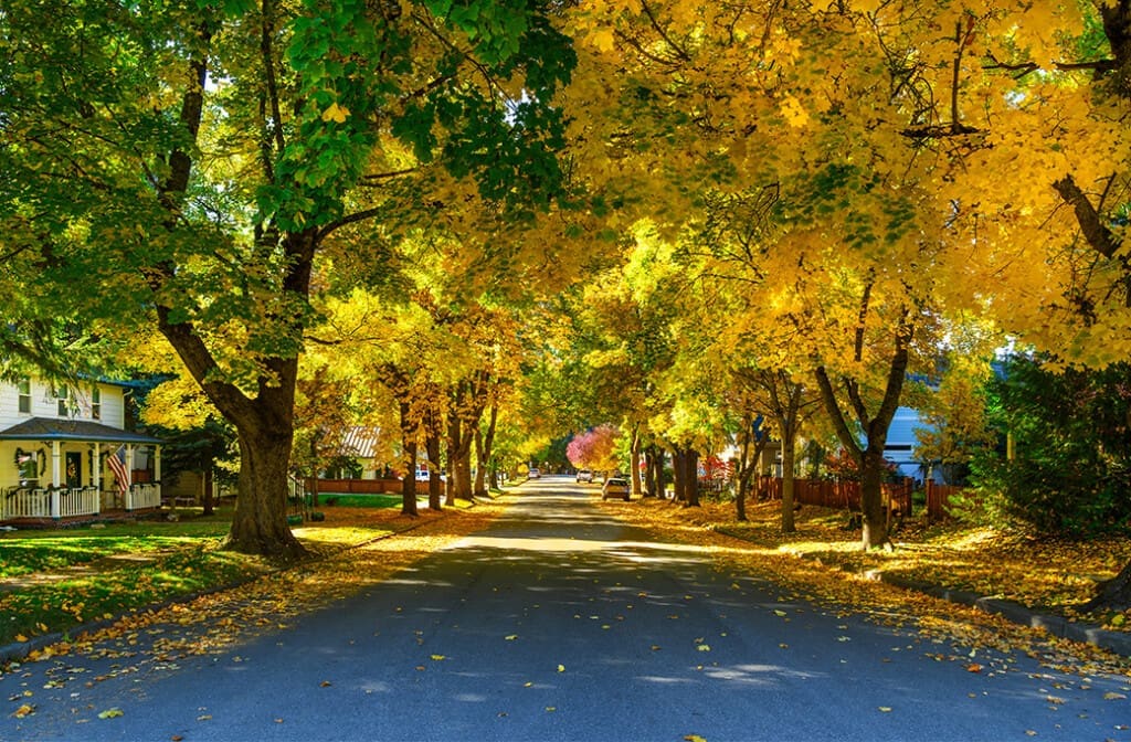 West End Walkability