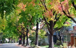 What to Look for in a Neighborhood When Shopping for a New Home