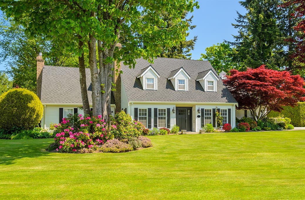 Front Yard Maintenance