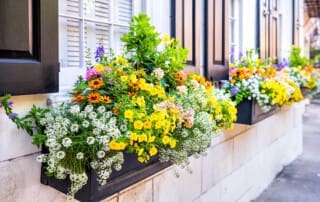 How to Maximize Your Home's Summer Curb Appeal