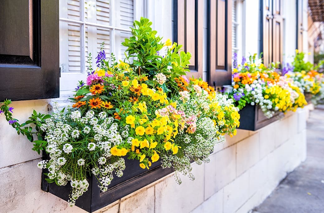 How to Maximize Your Home's Summer Curb Appeal