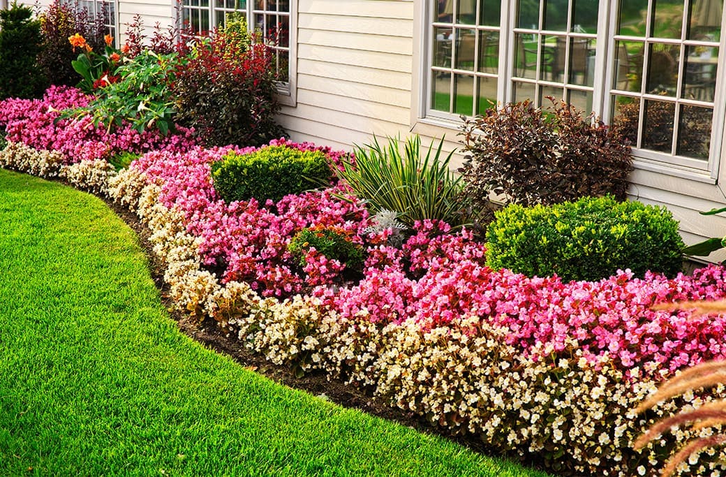 Landscaping and Gardening