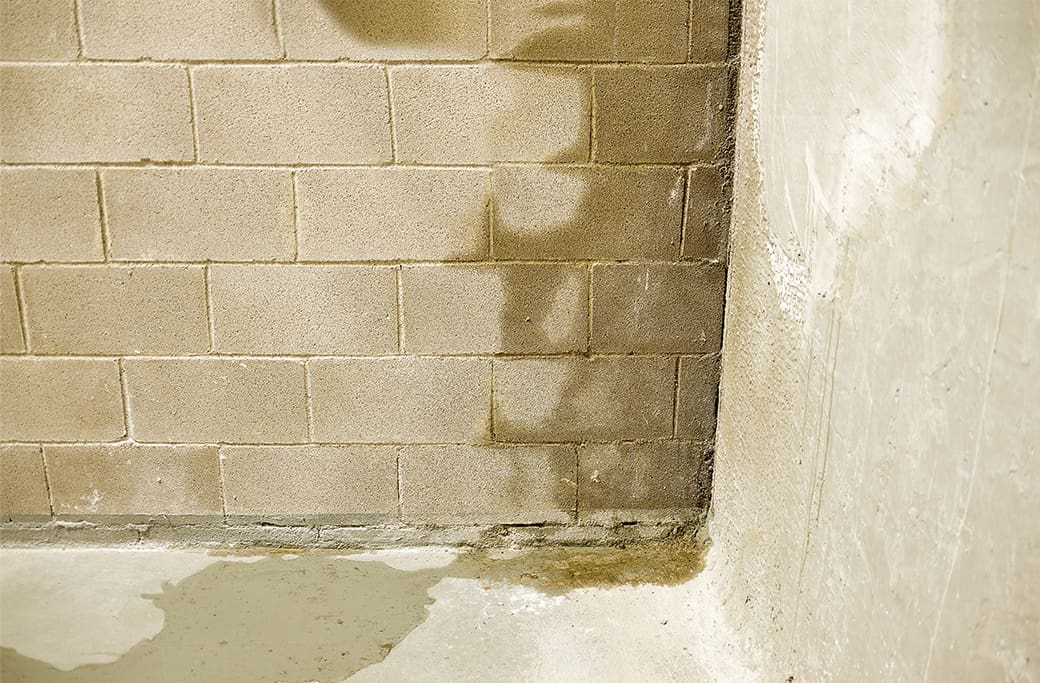 Basement Water Damage: The Hidden Threat to Your Home's Value