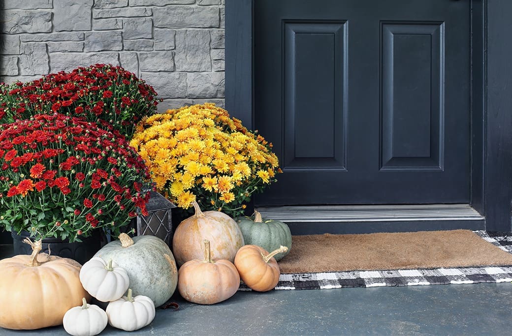 Elevate Your Home with Autumn Curb Appeal