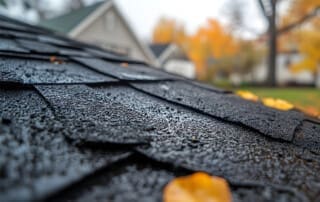 Importance of Roof Inspection and Repair in Fall