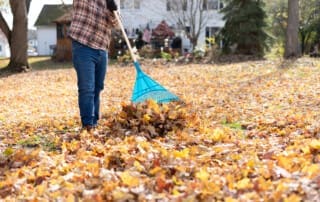 Fall Home Improvement Projects