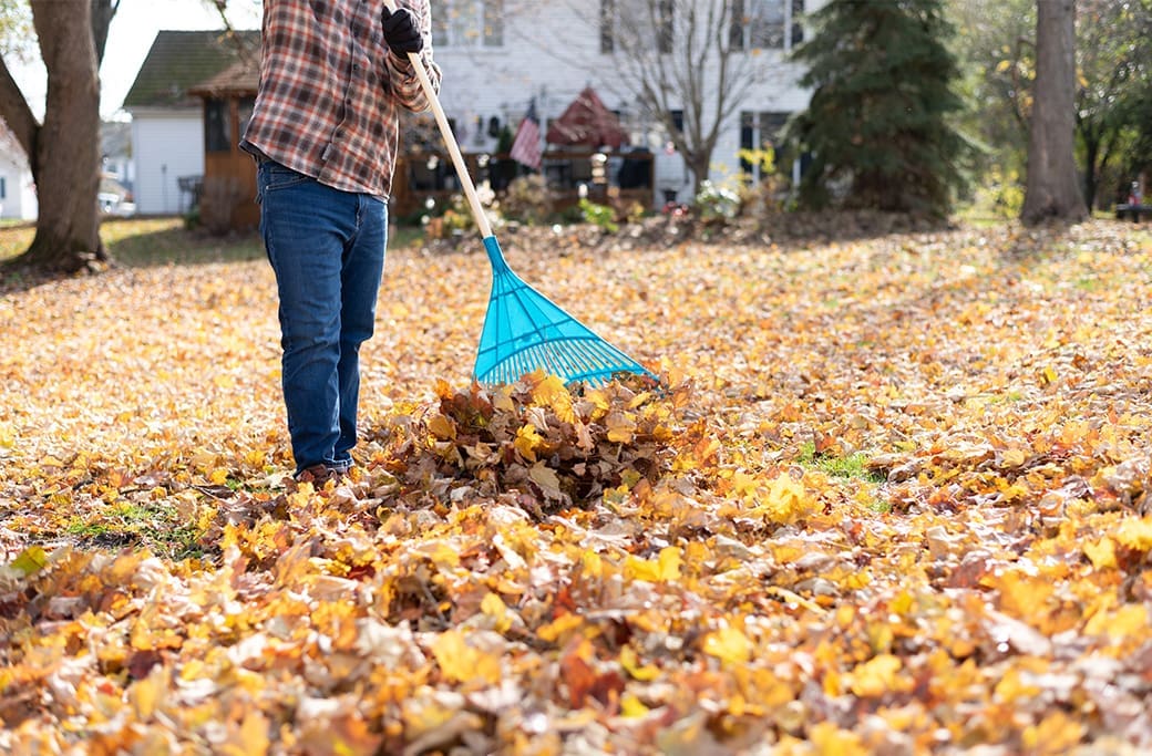 Fall Home Improvement Projects