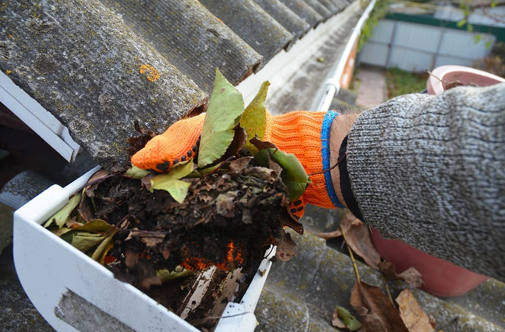 Gutter Cleaning and Maintenance