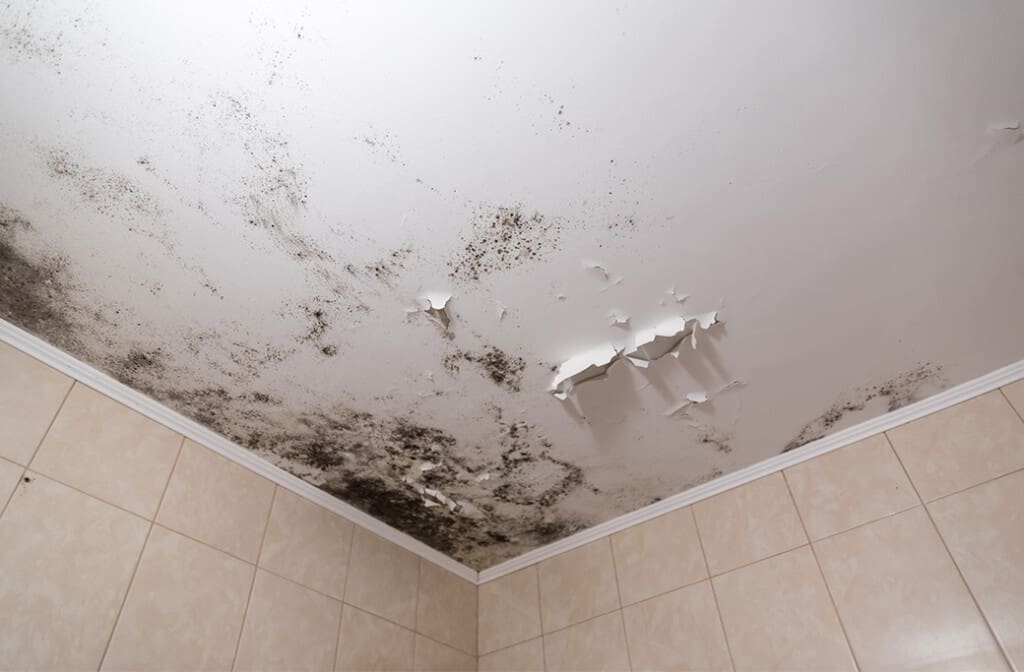 Fixing Leaks Before Listing Your Home