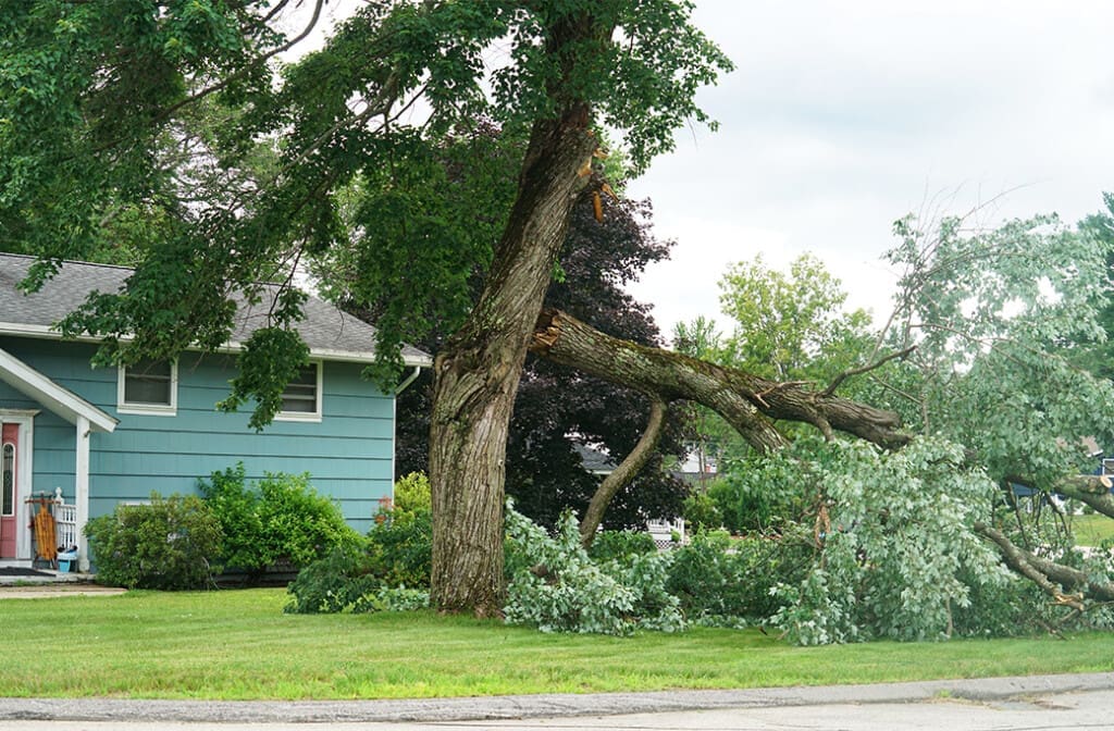 Prepare for Storm Season