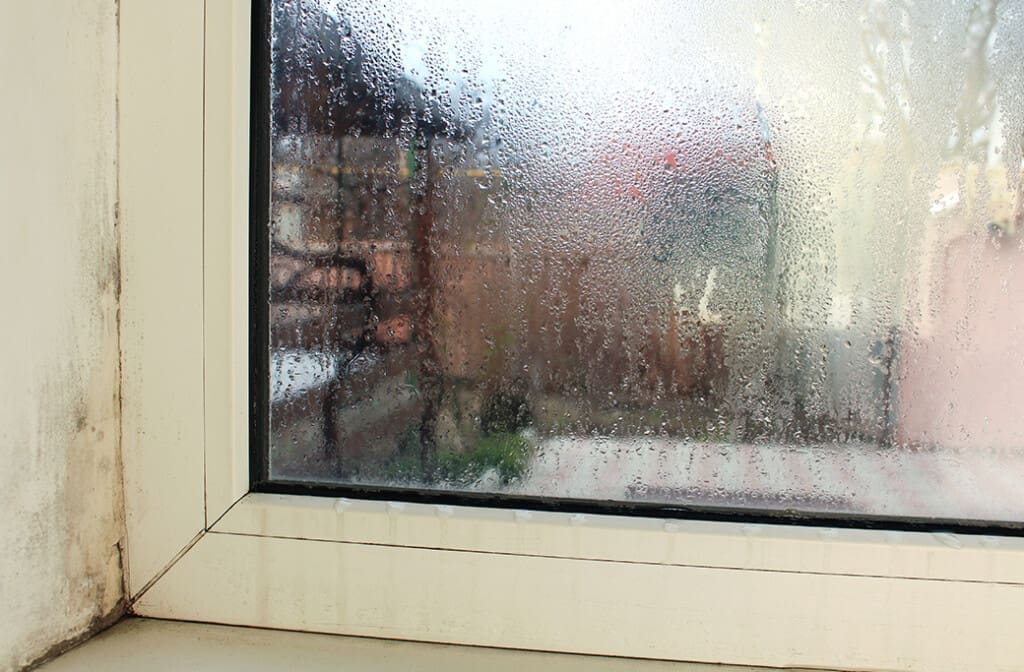 Protect Your Home From Moisture