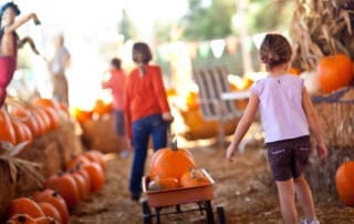 October Family Fun in Winston-Salem: Fall Festivals & Activities