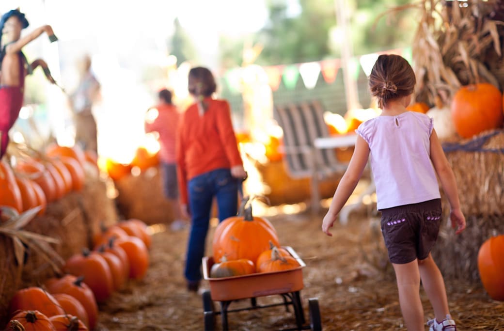 October Family Fun in Winston-Salem- Fall Festivals & Activities October Family Fun in Winston-Salem: Fall Festivals & Activities