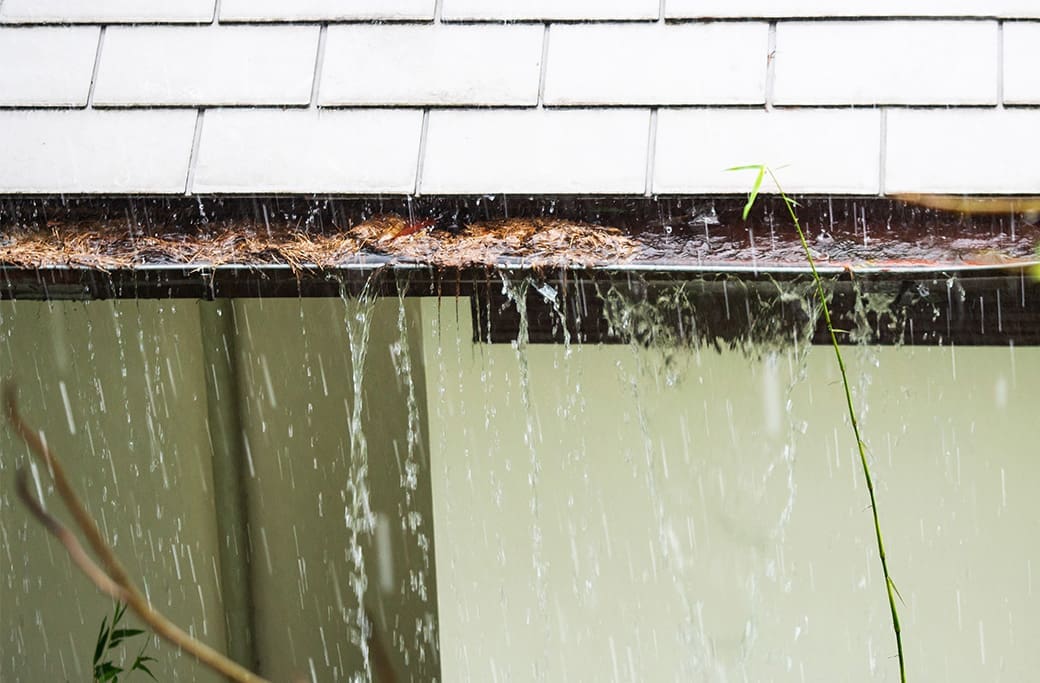 Prevent Fall Water Damage: Essential Home Protection Guide
