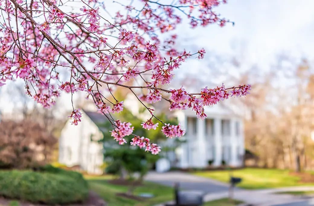 Weather in Winston-Salem